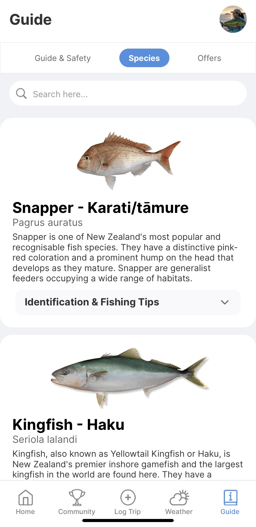 Screenshot of the fishing rules and species guide.