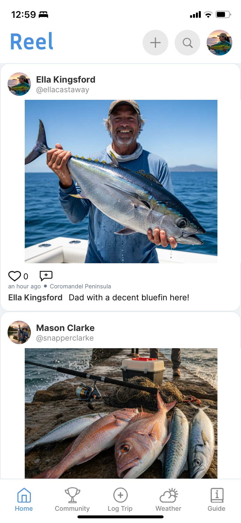 Main social media feed of the FishNZ app